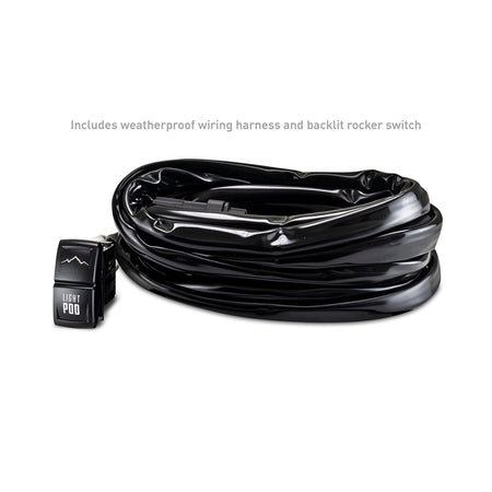 Photo - Primary