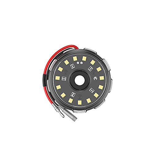 KC Cyclone V2 LED - Single Light - Clear Lens - 5W Flood Beam